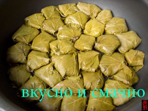 Как приготовить долму в виноградных листьях